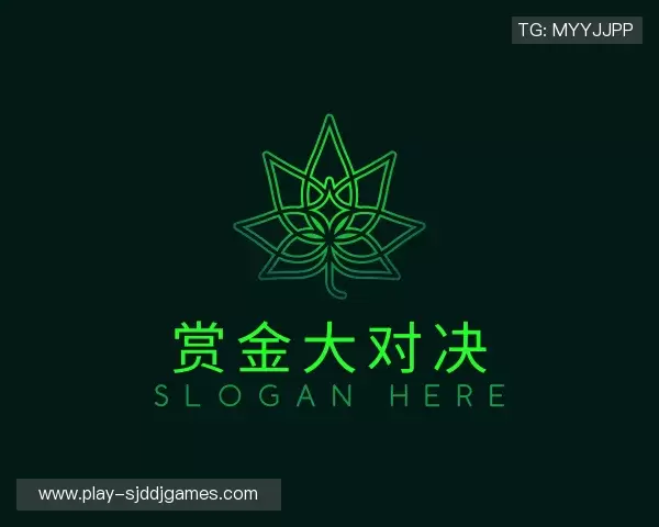 认识赏金大对决